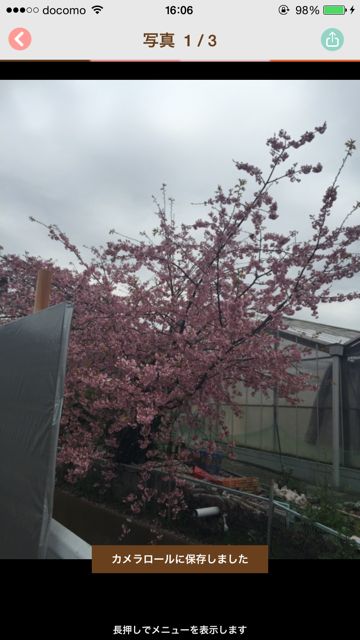 20150416_zeetle-kyouapp - 04