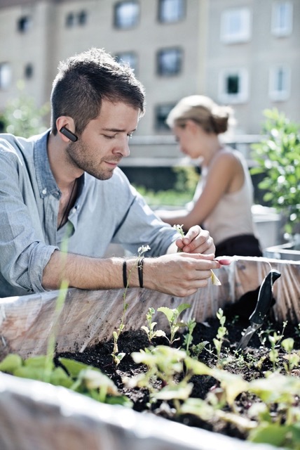 Jabra - 10