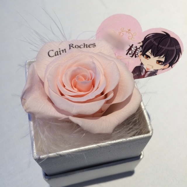 20150812_ikemenrepo1 - 2