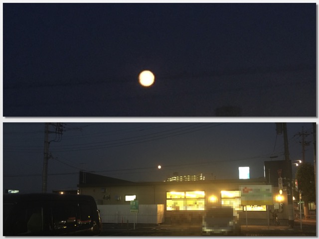 bluemoon - 4