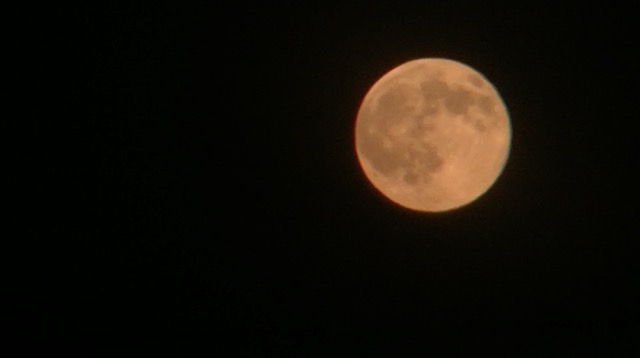 bluemoon - 5