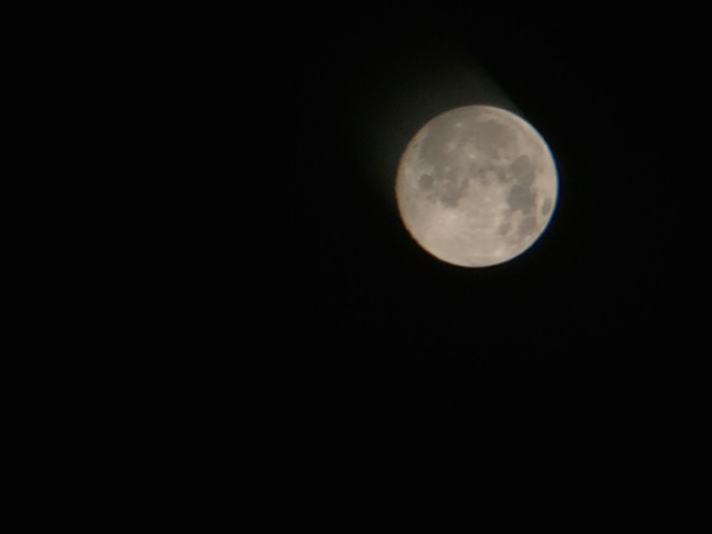 bluemoon - 6