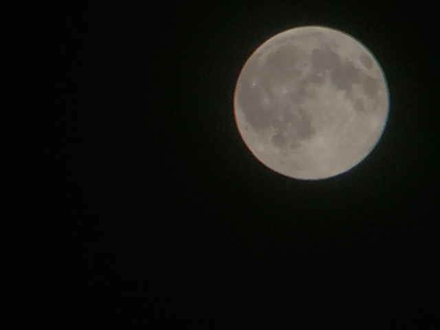 bluemoon - 7