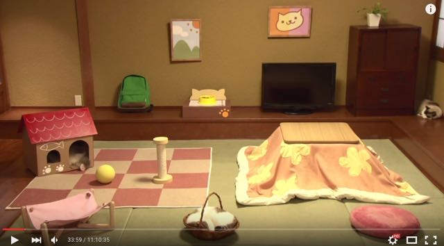 150917_nekoatsume - 1