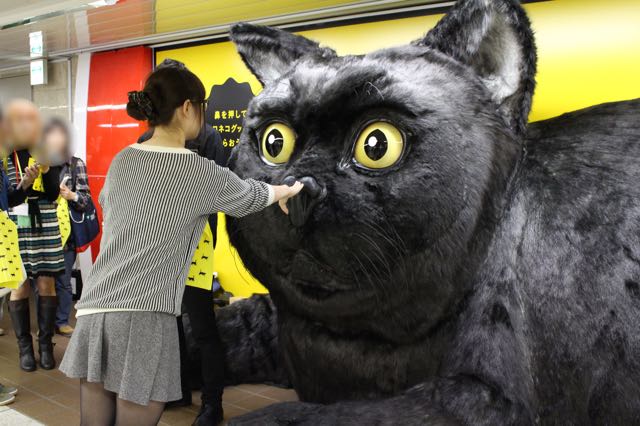 150930_kuronekoyamato - 16