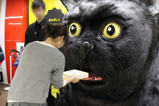150930_kuronekoyamato - 19