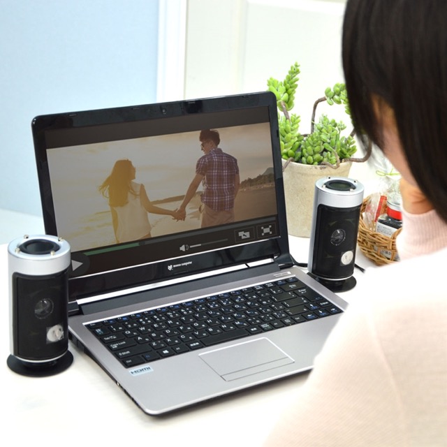 Woofer Speaker - 1