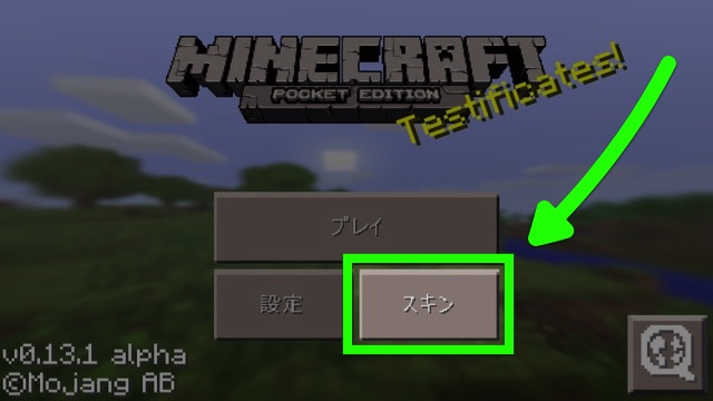 マイクラpe プレーヤーの外見を変える スキン の作り方 Appbank