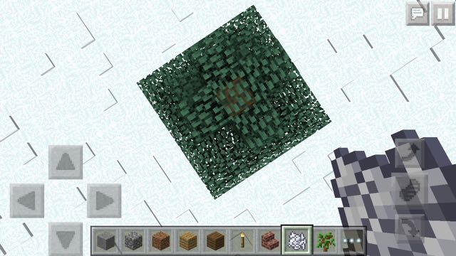 2015-1209_Minecraft - 01