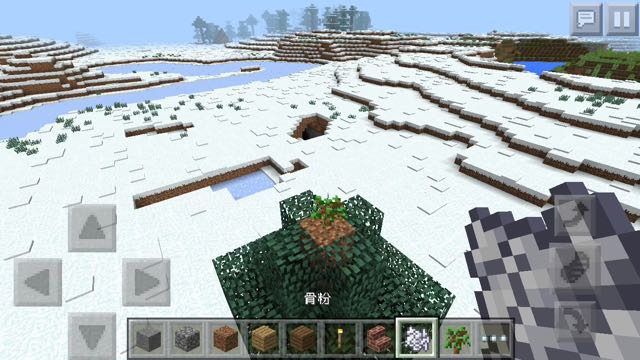 2015-1209_Minecraft - 02