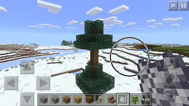 2015-1209_Minecraft - 03
