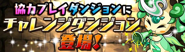 2015-1225_pdNews - 10