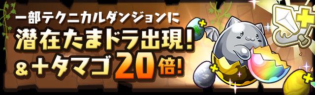 2015-1225_pdNews - 13