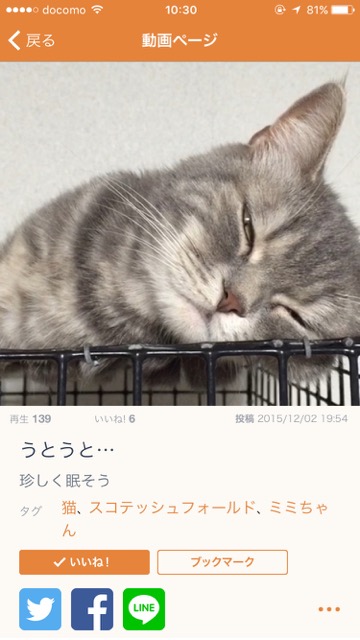 20151205_mofur1 - 12