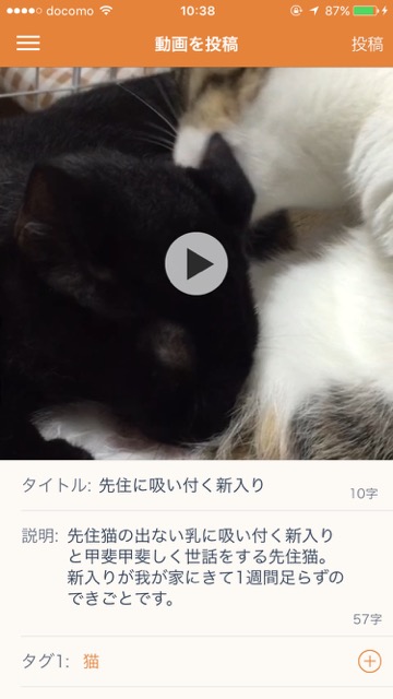 20151205_mofur1 - 17