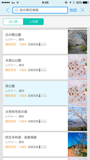 yahoo2016sakura04