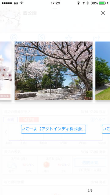 yahoo2016sakura06