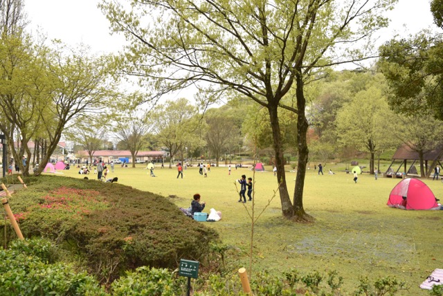 gunmaKodomo1 - 1