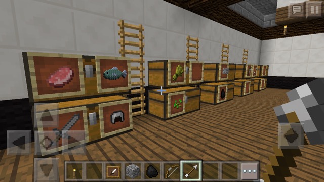 2016-0513_Minecraft - 09