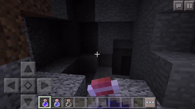 2016-0609_Minecraft - 02