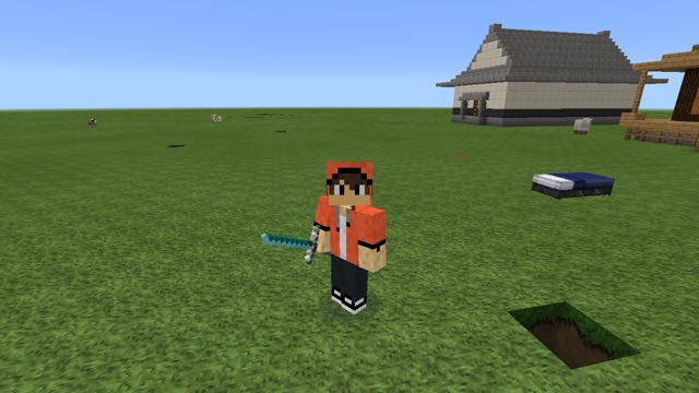 2016-0618_Minecraft - 13