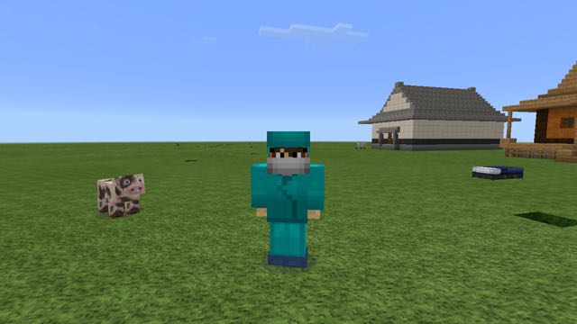 2016-0618_Minecraft - 14