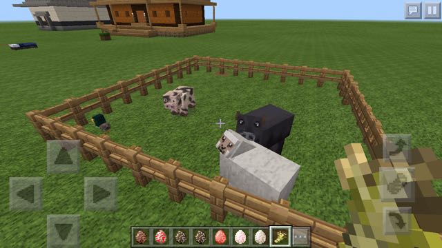 2016-0618_Minecraft - 15