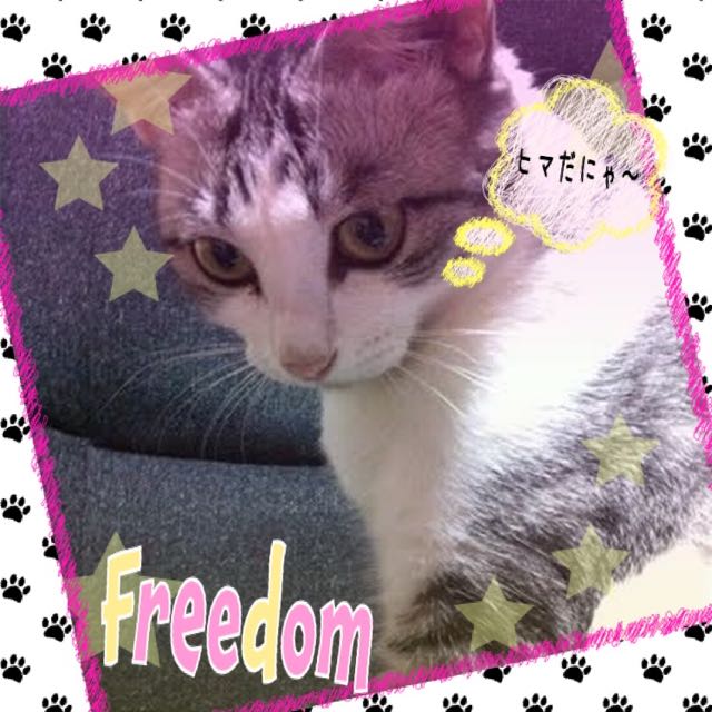 2016-0627_Nyankame - 4