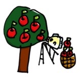 apple