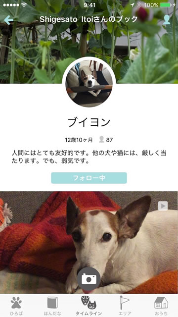 dokonokoelease01