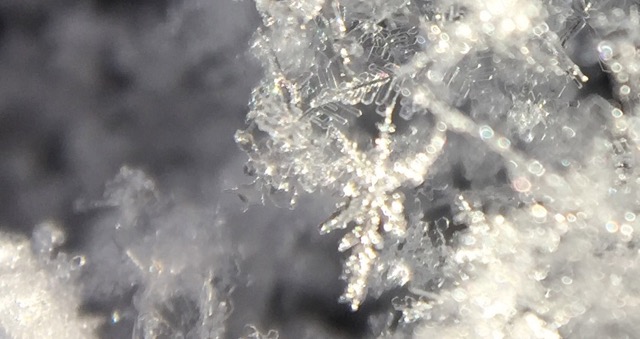 こんな写真を簡単に撮影する方法しってる?