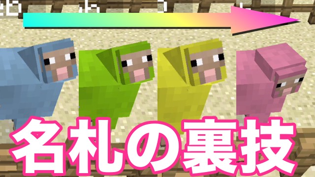 【マイクラPE】羊に「jeb_」と名付けると・・・