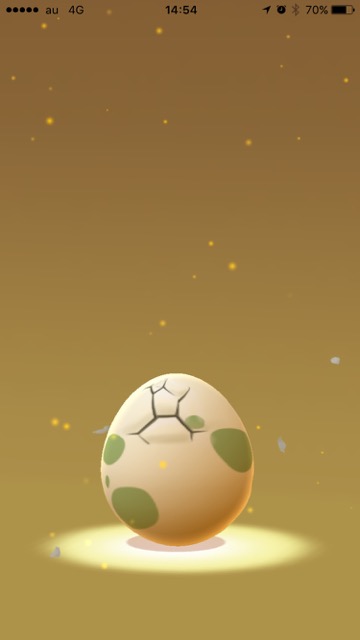 2016-0722_PokemonGo_Pika - 3