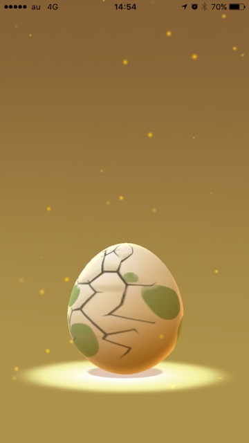 2016-0722_PokemonGo_Pika - 4