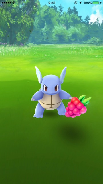 2016-0726_PokemonGO_Get - 3