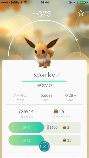 ポケモンGOイーブイ名前裏技サンダース