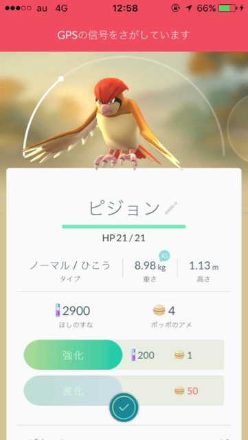 ポケモンGOピジョンステータス