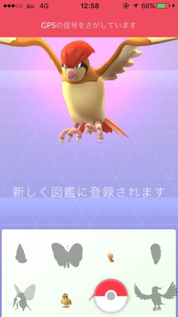 ポケモンGOポッポ進化