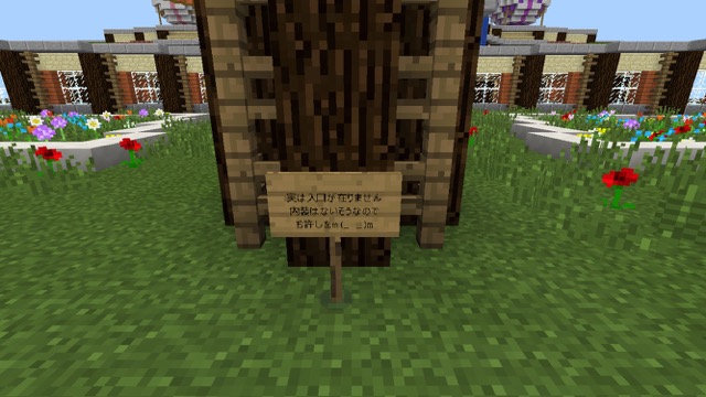 2016-0813_Minecraft - 6