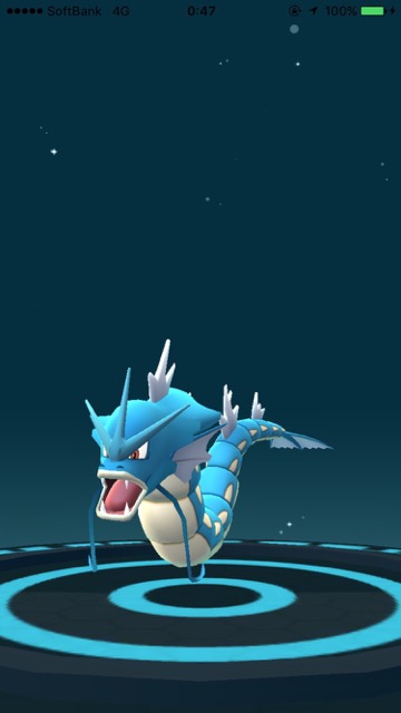 ギャラドス欲しけりゃ目黒川にgo 24時間耐久ポケモンgo Appbank