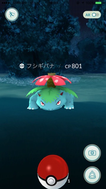 ポケモンGO 新宿中央公園