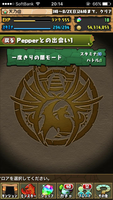 pazu - 993