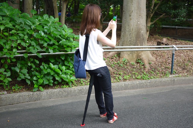 ポケモンgo ジムリーダーになり続けたい人の必携アイテムはこれだ Appbank