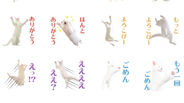 重力を無視するねこ「ミルコ」のコメント付きLINEスタンプ一覧