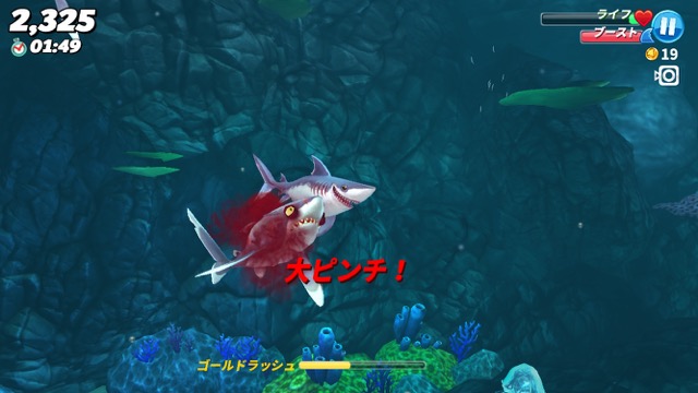 hungry_shark - 11