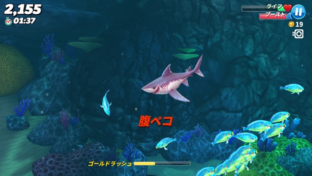 hungry_shark - 4