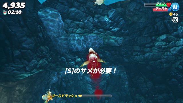 hungry_shark - 6