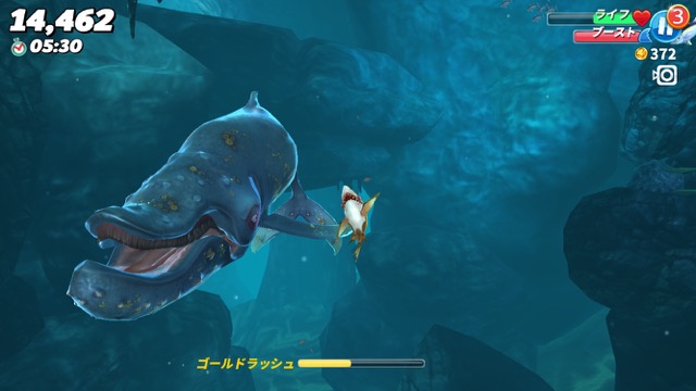 hungry_shark - 7