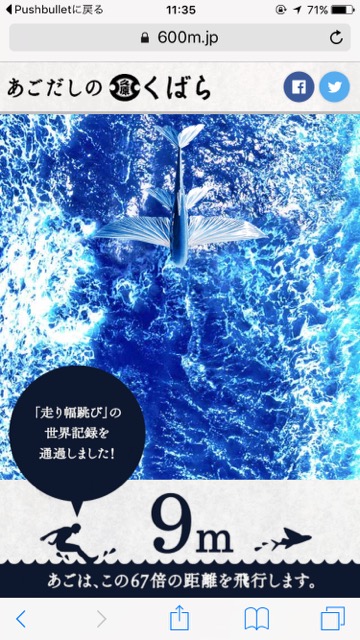 あごだし 6万