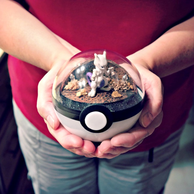 pokeball_tera - 4